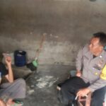 IMG-20230525-WA0061