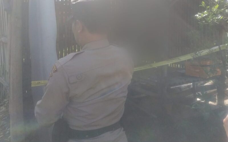 IMG-20231216-WA0202