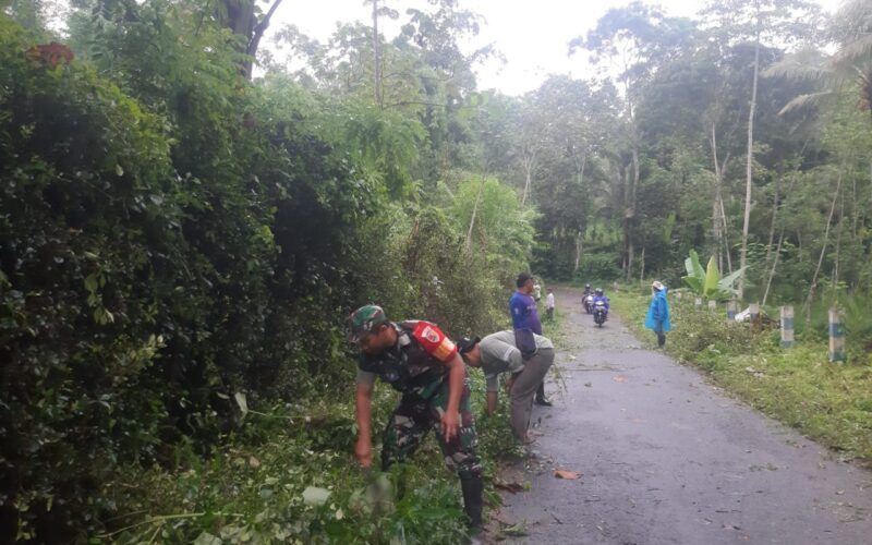 IMG-20240414-WA0031