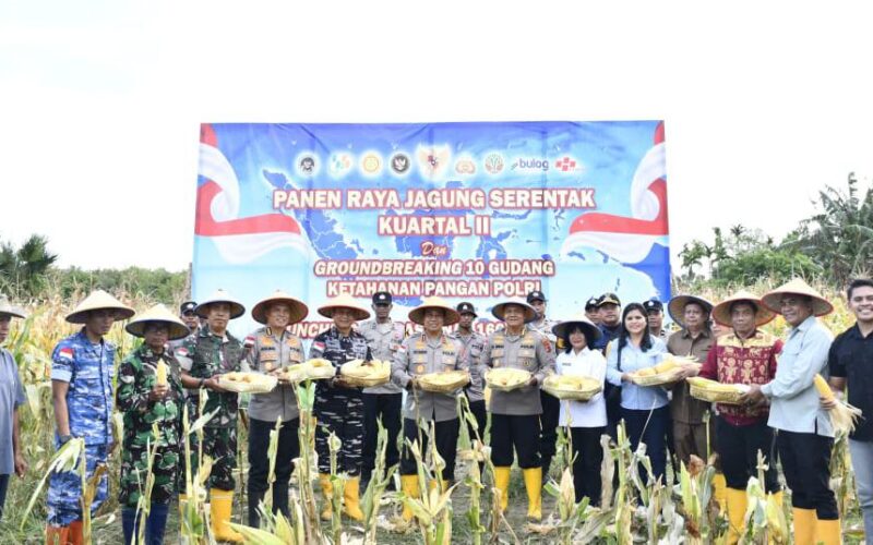 IMG-20260518-WA0028